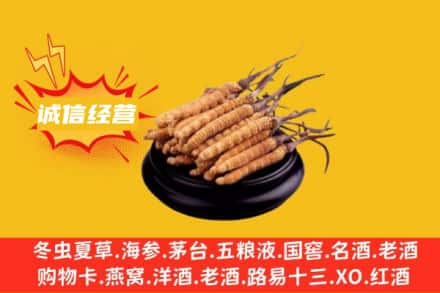 郴州桂阳县回收冬虫夏草